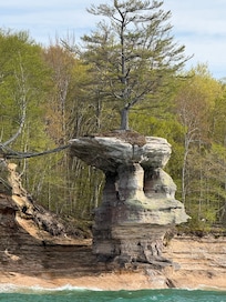 Another photo from the Pictured Rocks cruise.