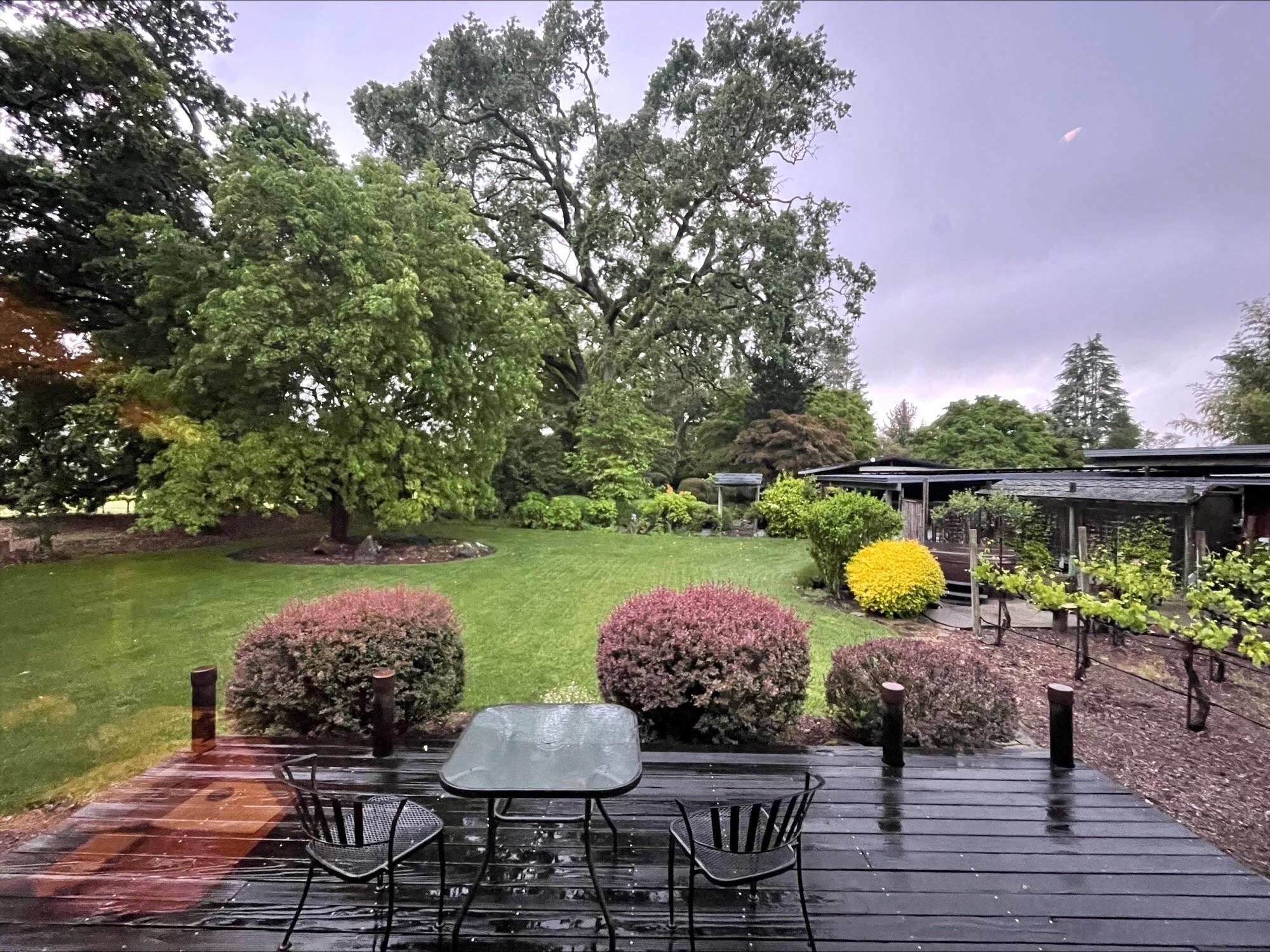 Your view from the cottage.