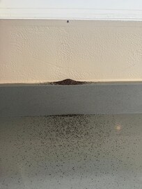 Looks like termite activity.