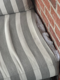 This was on our balcony.