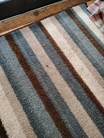 Debris on rug when we arrived