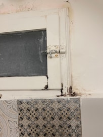 Lokal flora och fauna i badrummet