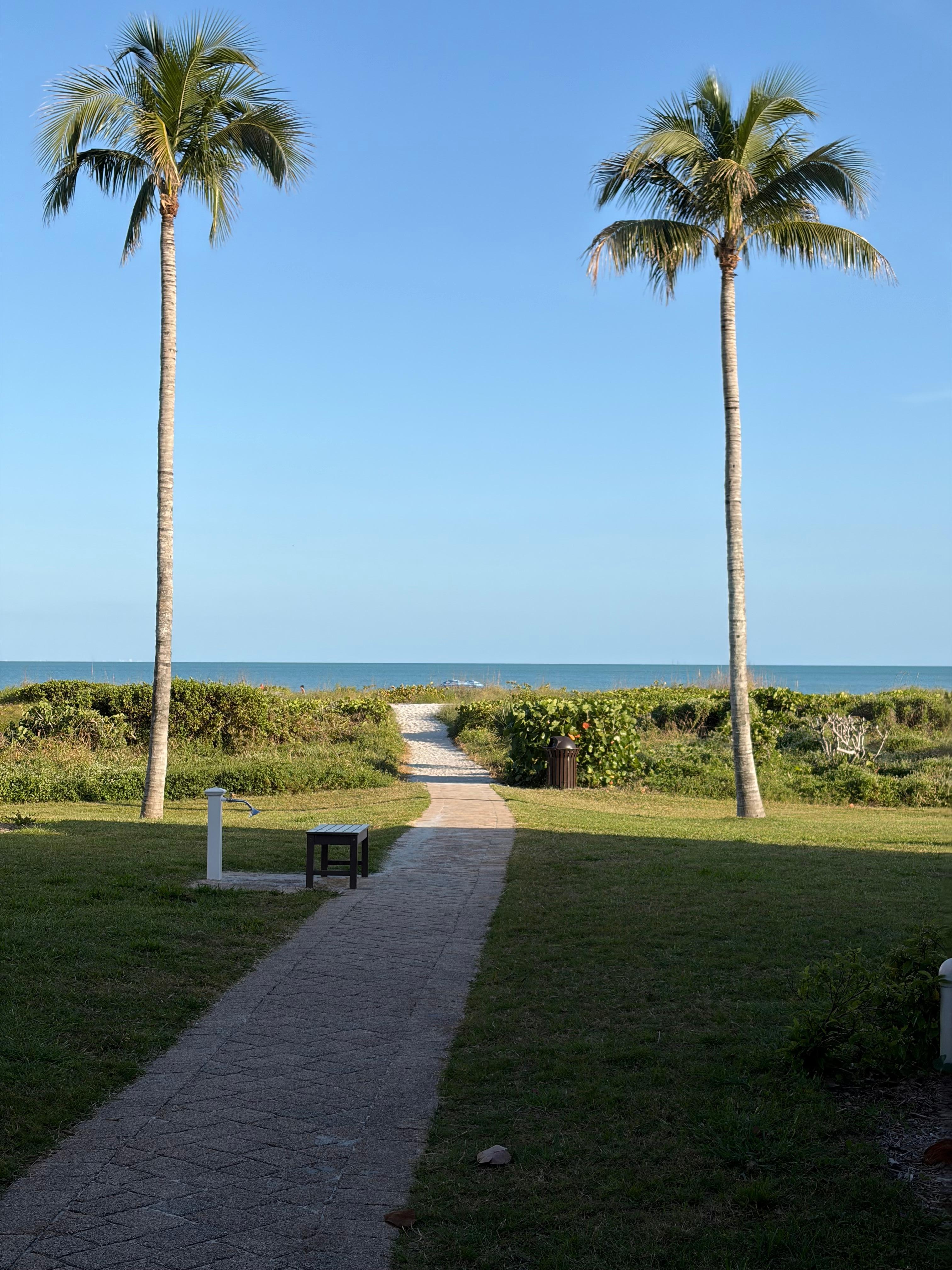 A short walk to the Gulf