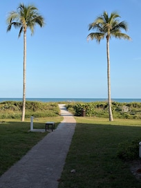 A short walk to the Gulf