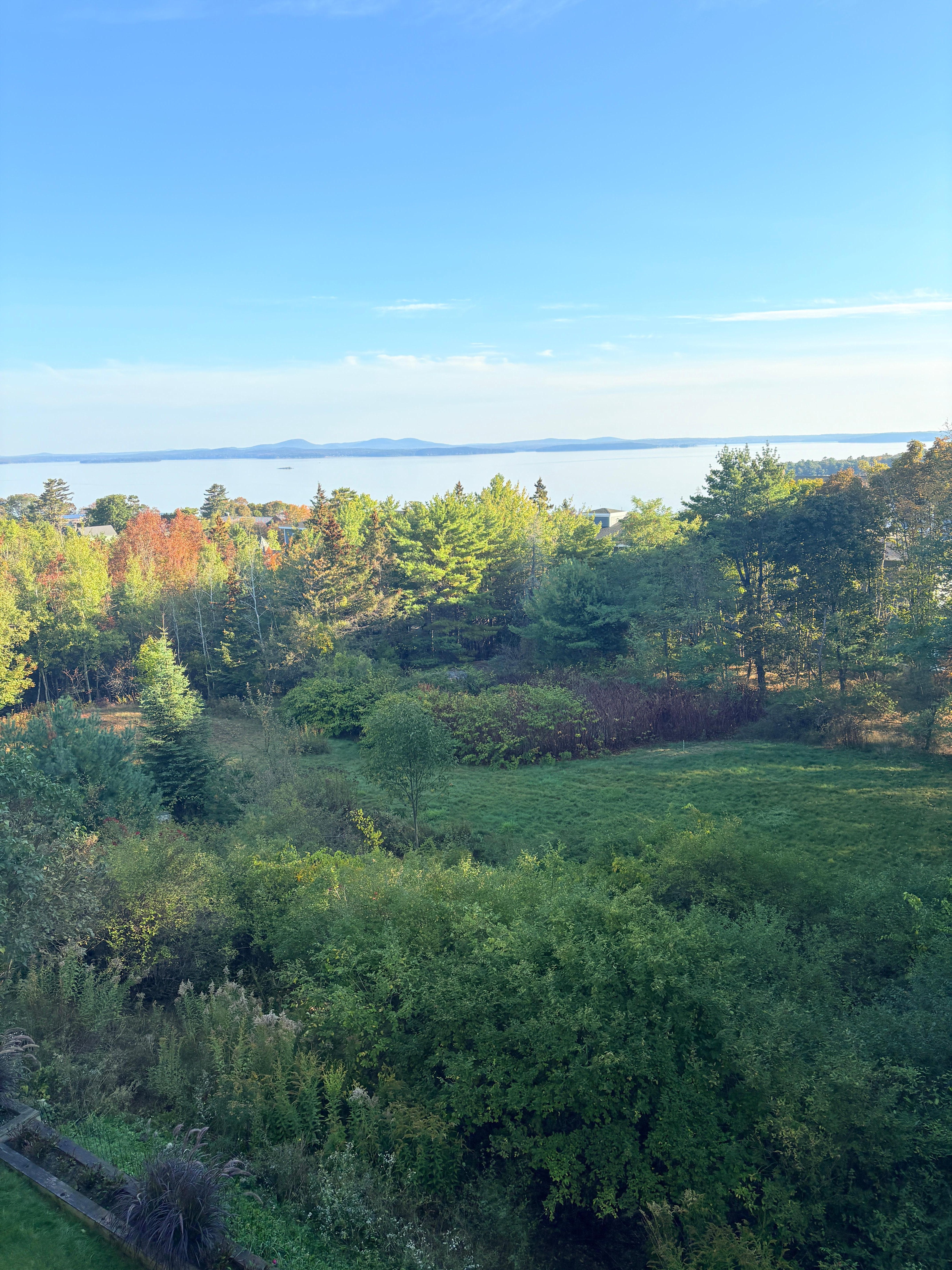 
The view outside our balcony. 