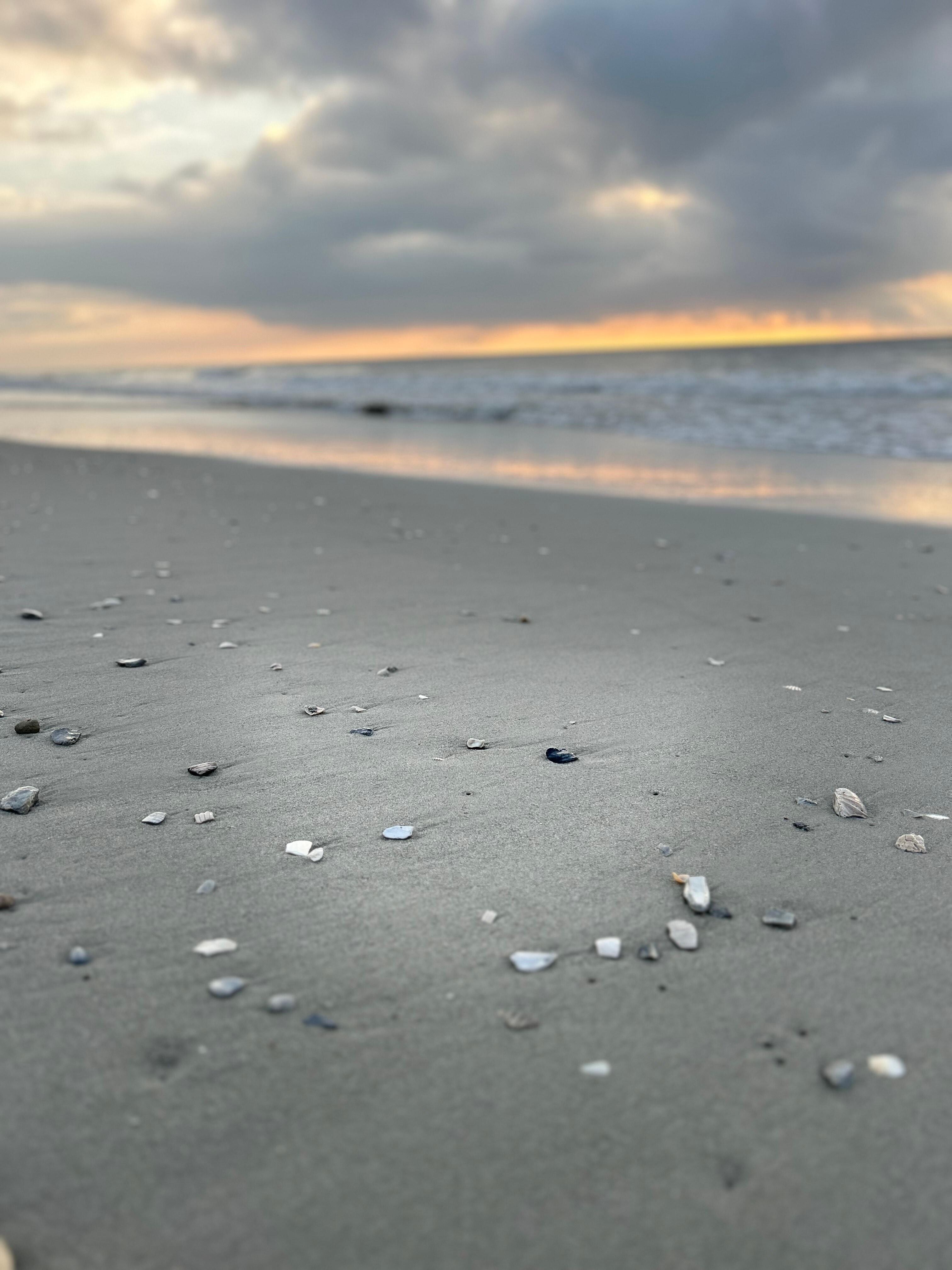 Morning walks on the Beach, yes please! 