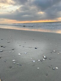 Morning walks on the Beach, yes please!