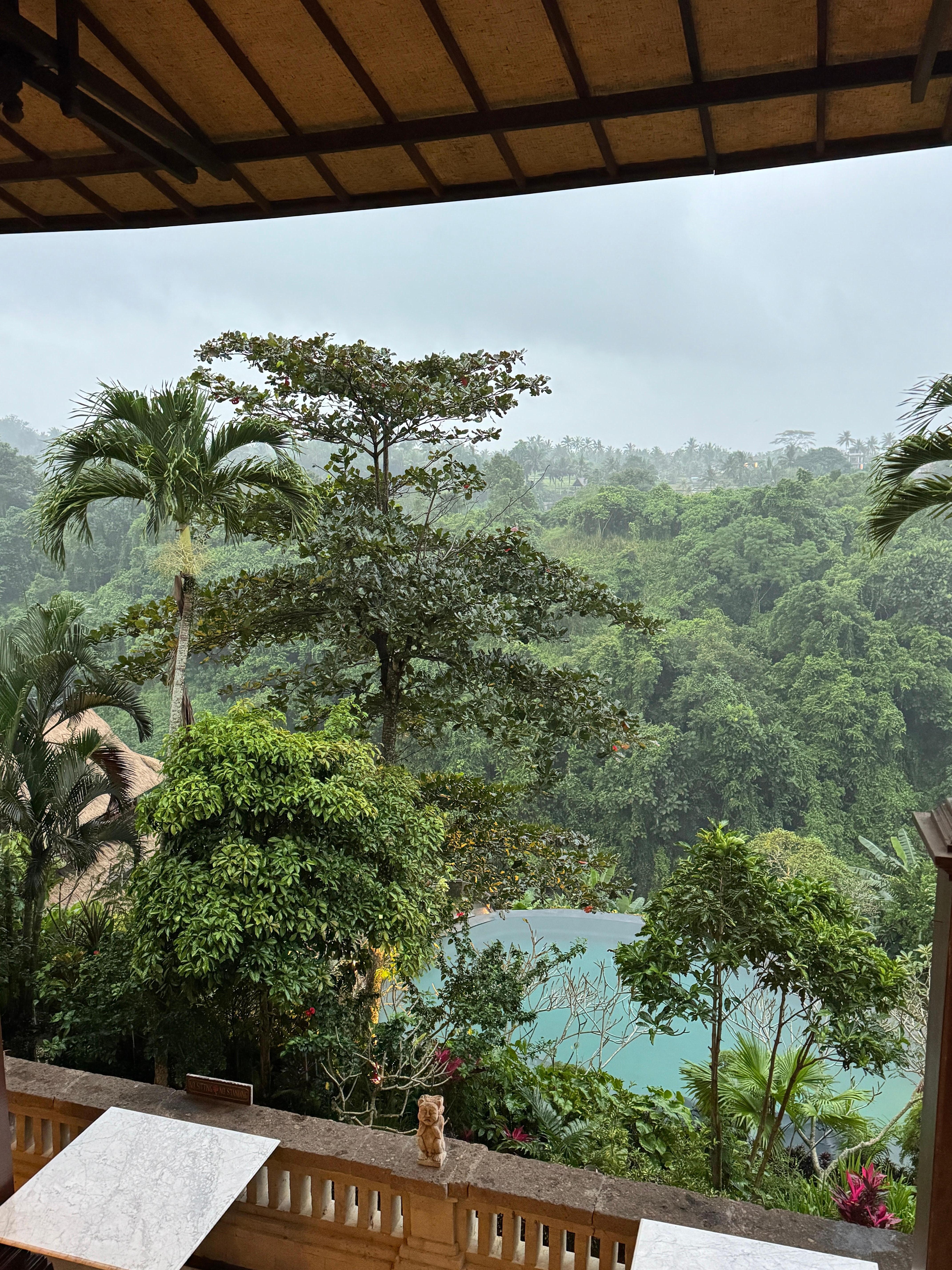 The view from the restaurant