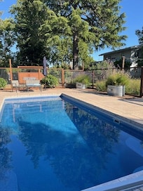 Picture of pool looking towards home.