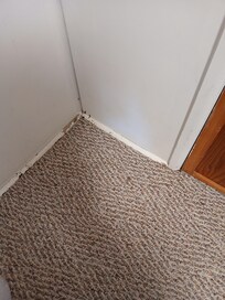 Bedroom bugs