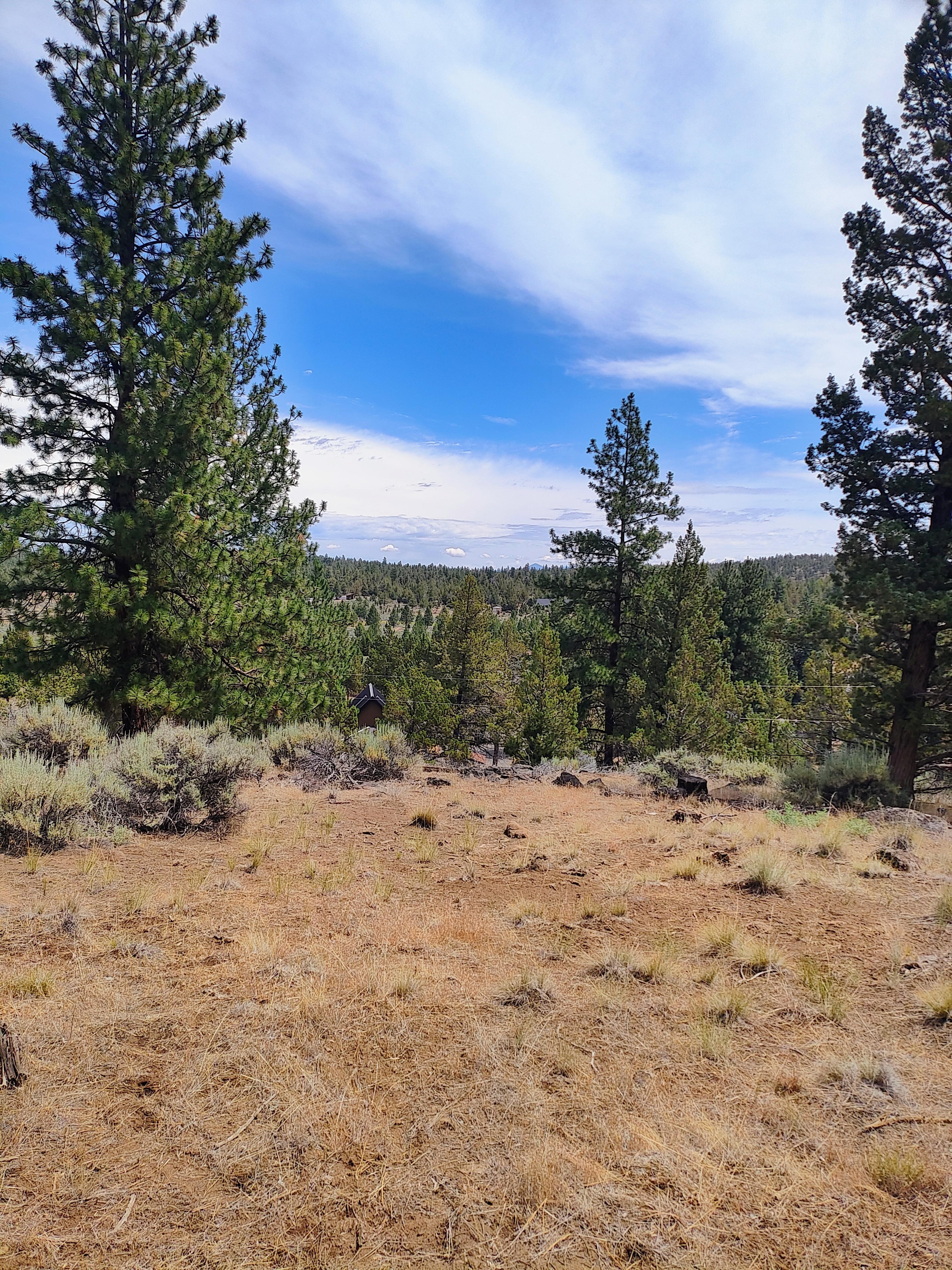 View from the deck of the A frame!