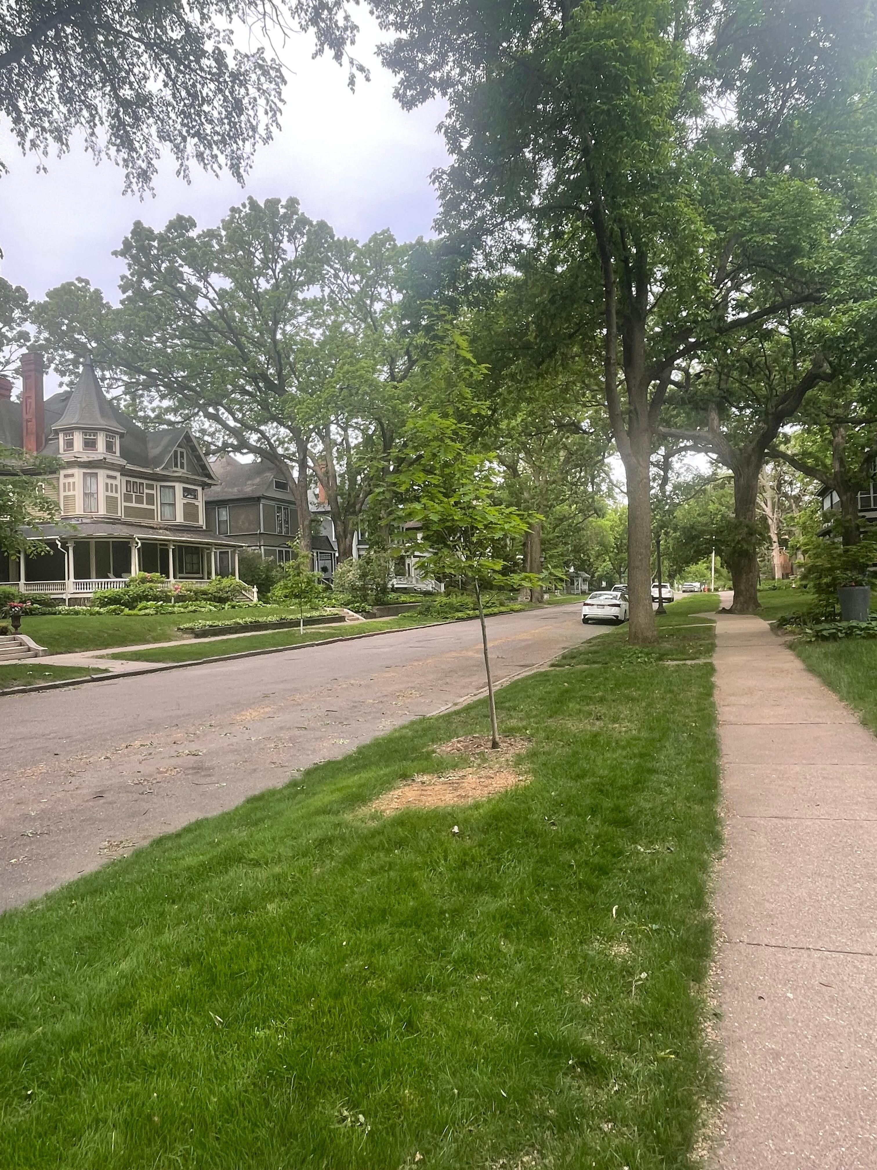 Very walkable neighborhood that is close to restaurants. 