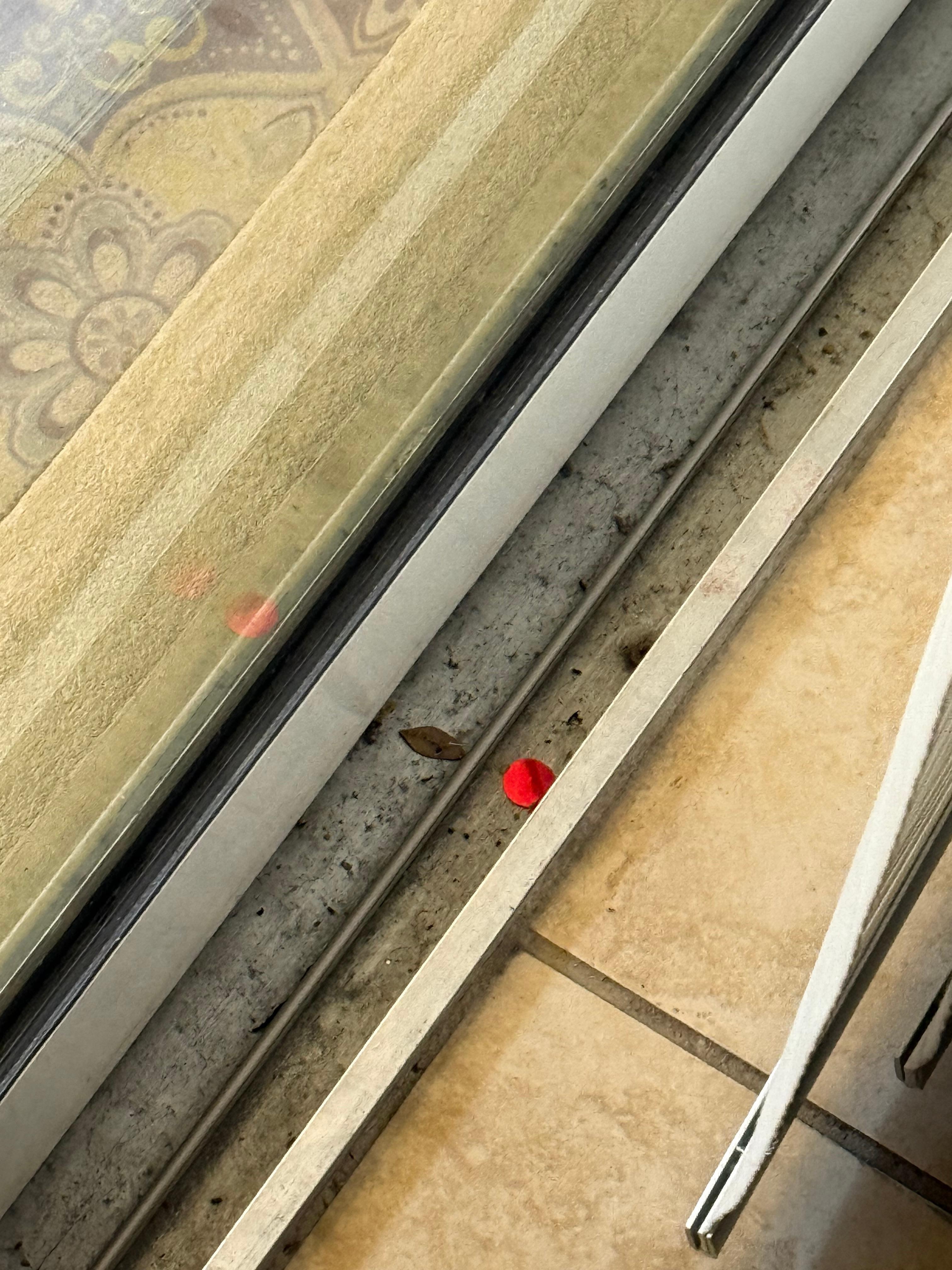 Example of confetti in random places throughout the house and yard 