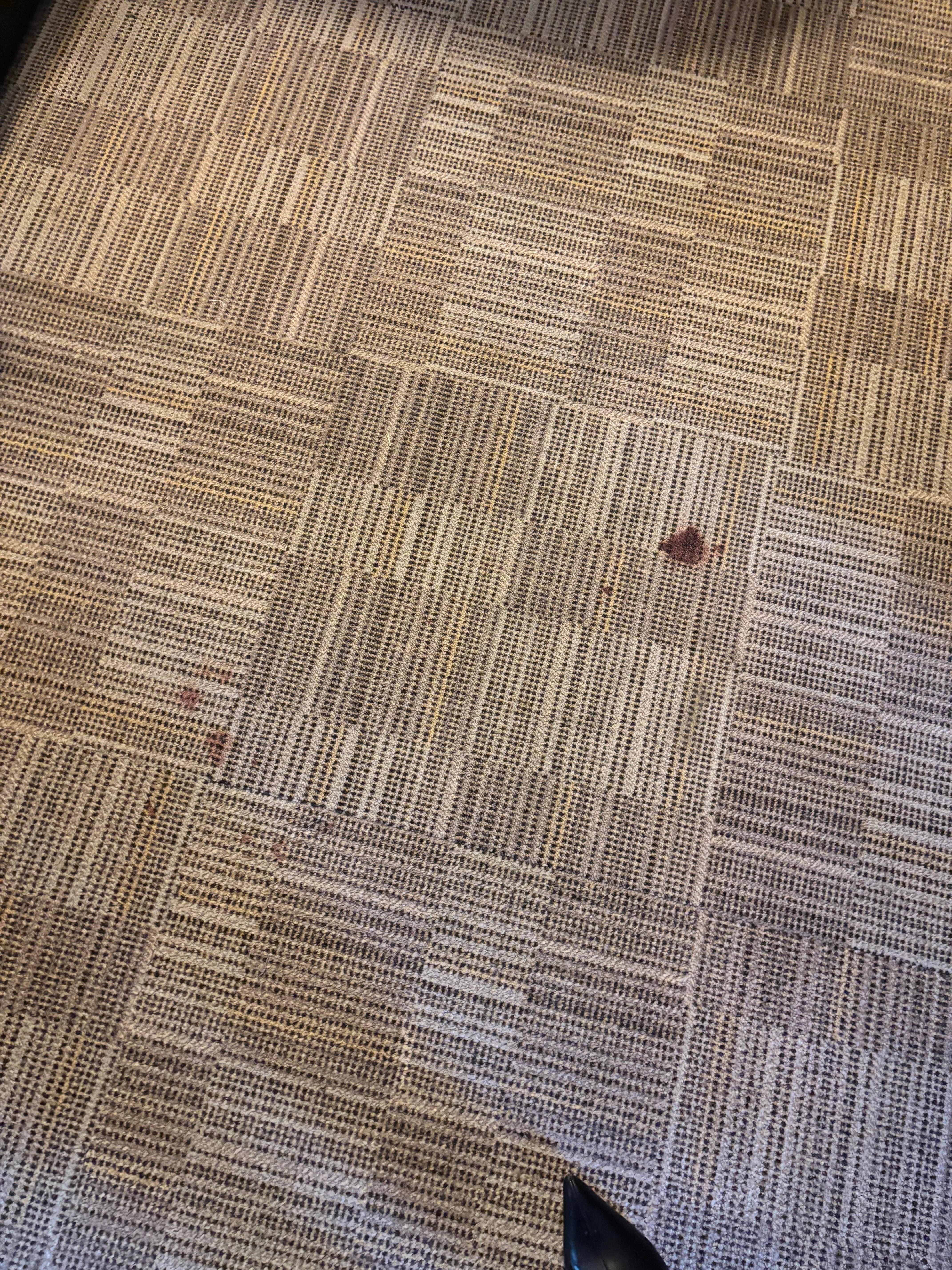 Blood on carpet