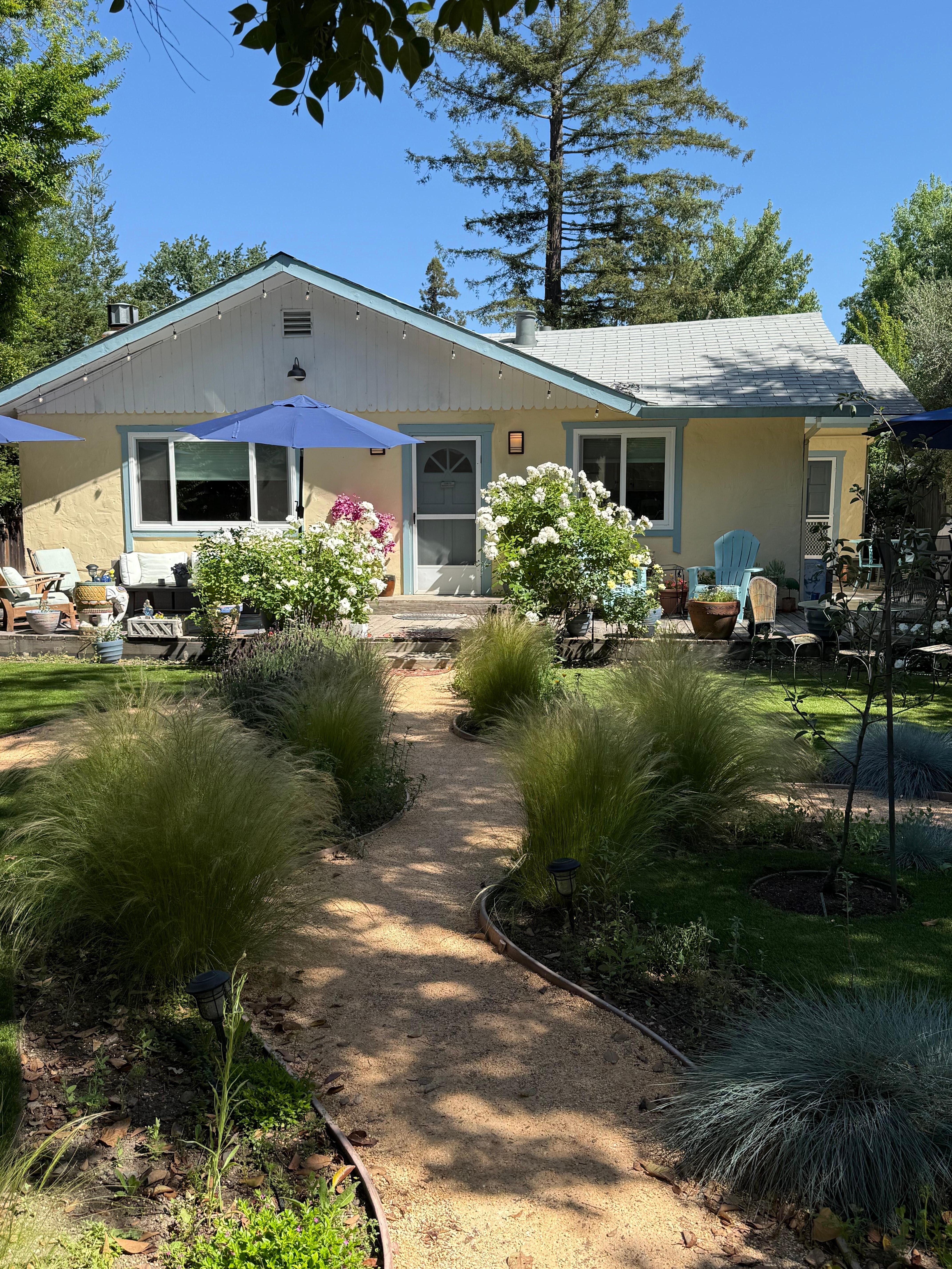 Beautiful garden. Perfect place to relax and read a book. 