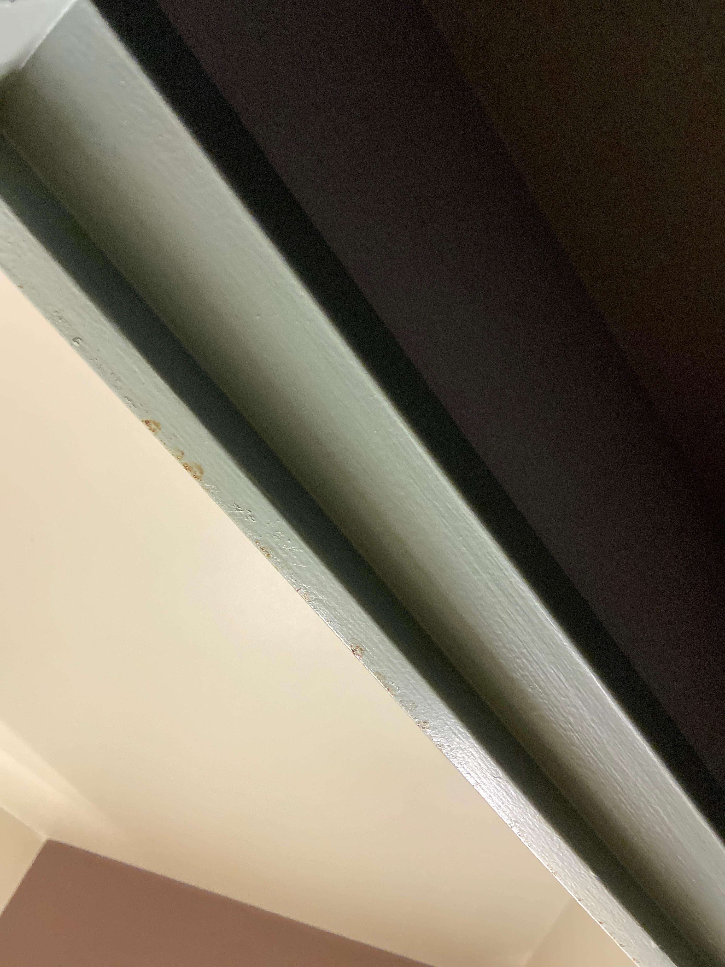 Contour des portes et plafonds pleines de taches pourris 