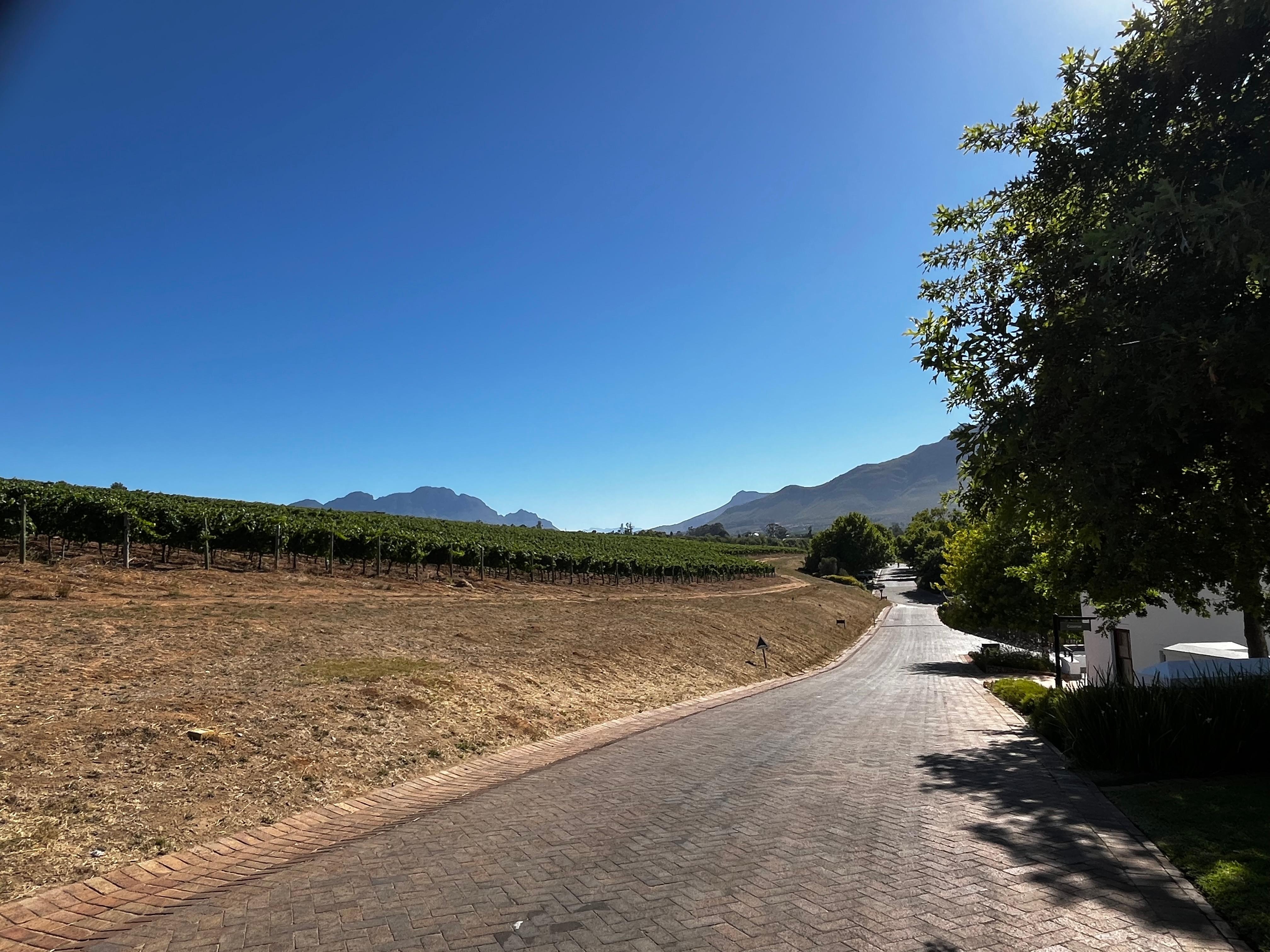 Walking towards breakfast 