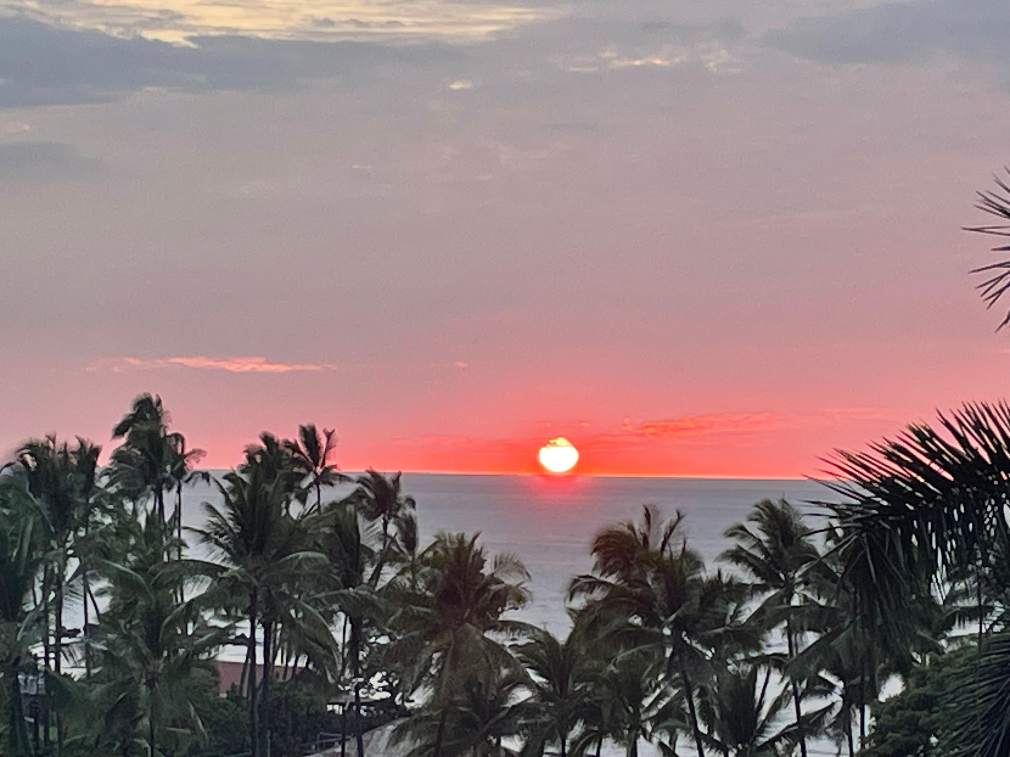 Yeah, I want a Mai Tai right now 