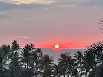 Yeah, I want a Mai Tai right now