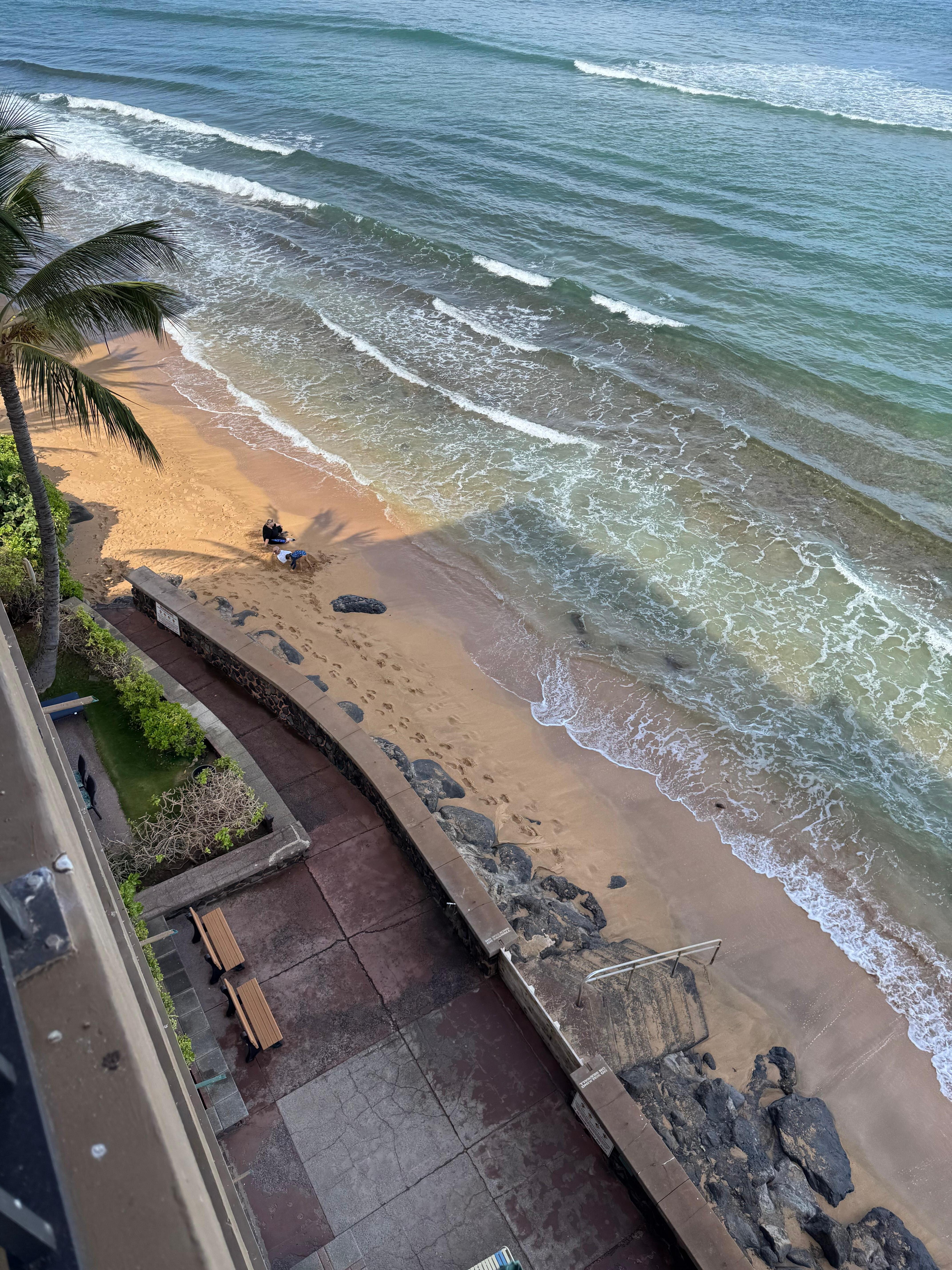 Looking down from balcony at low tide. 
