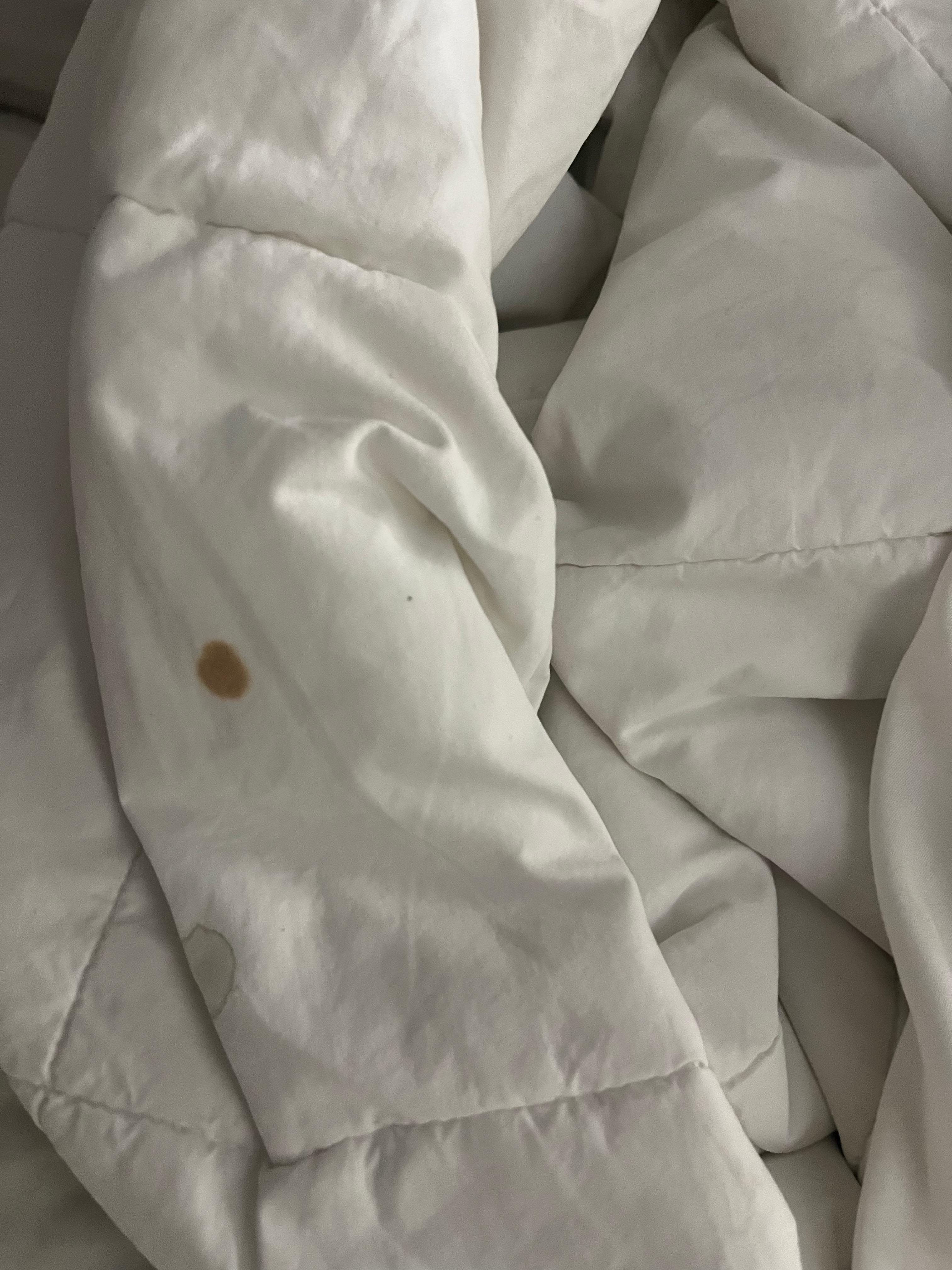 Blood on blanket