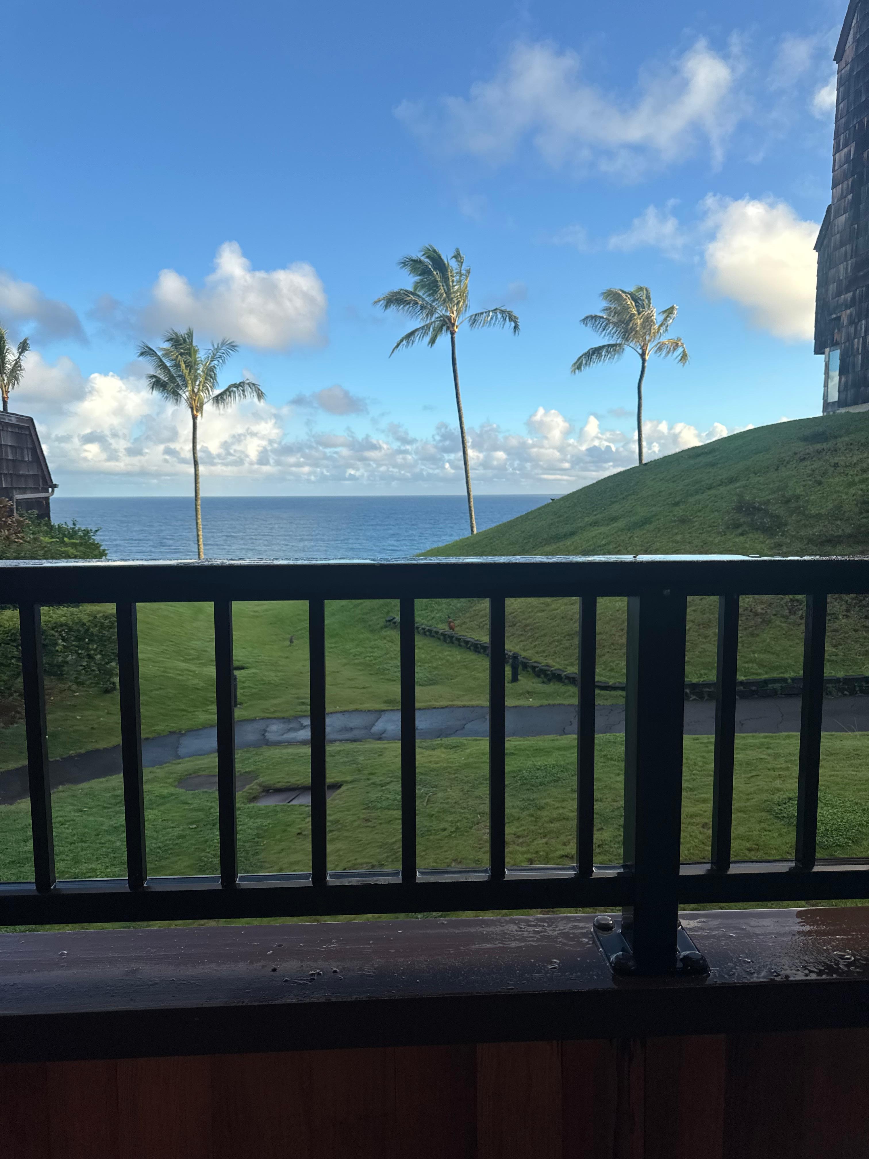 Balcony ocean view