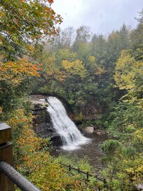 Swallow Falls