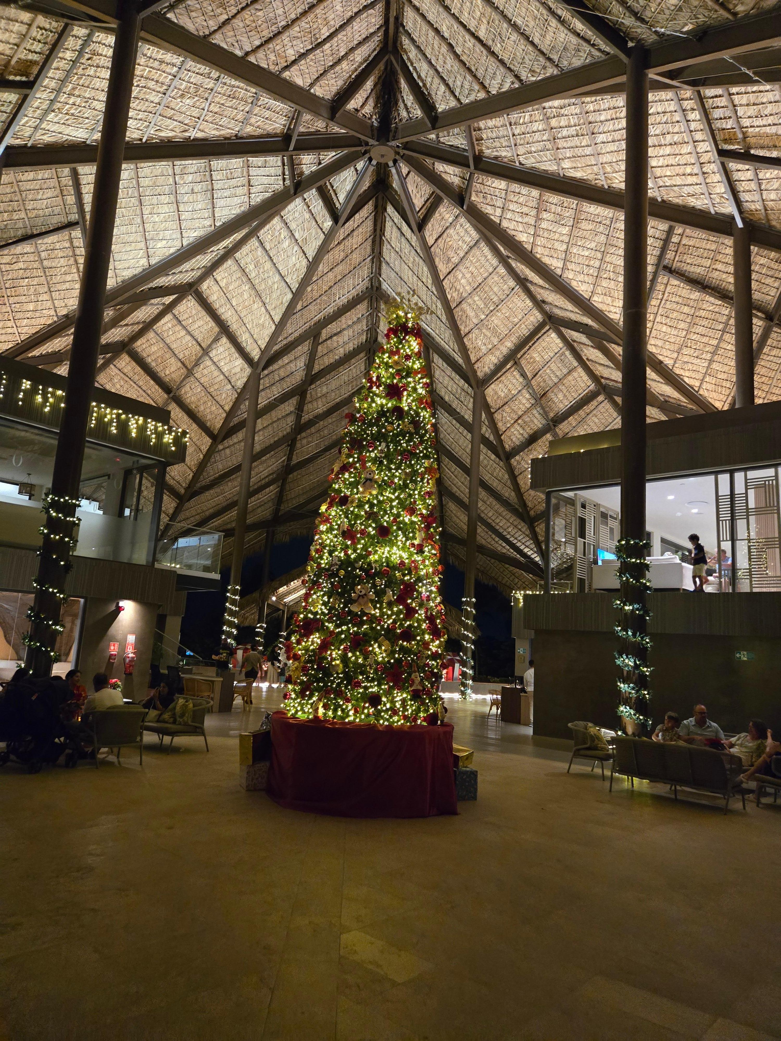 Gorgeous christmas tree 