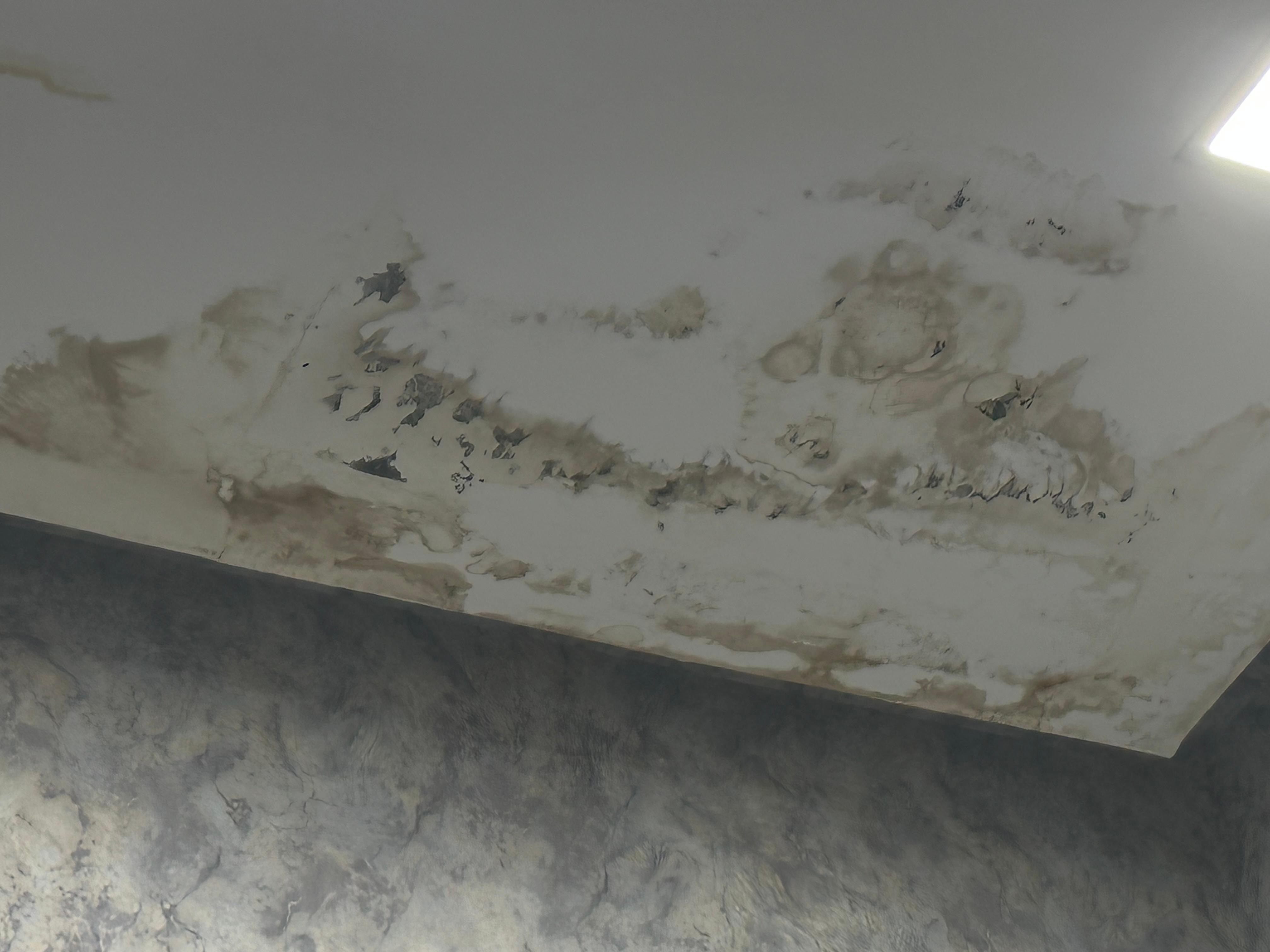 Mold in the main bedroom ceiling. 