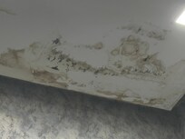 Mold in the main bedroom ceiling.