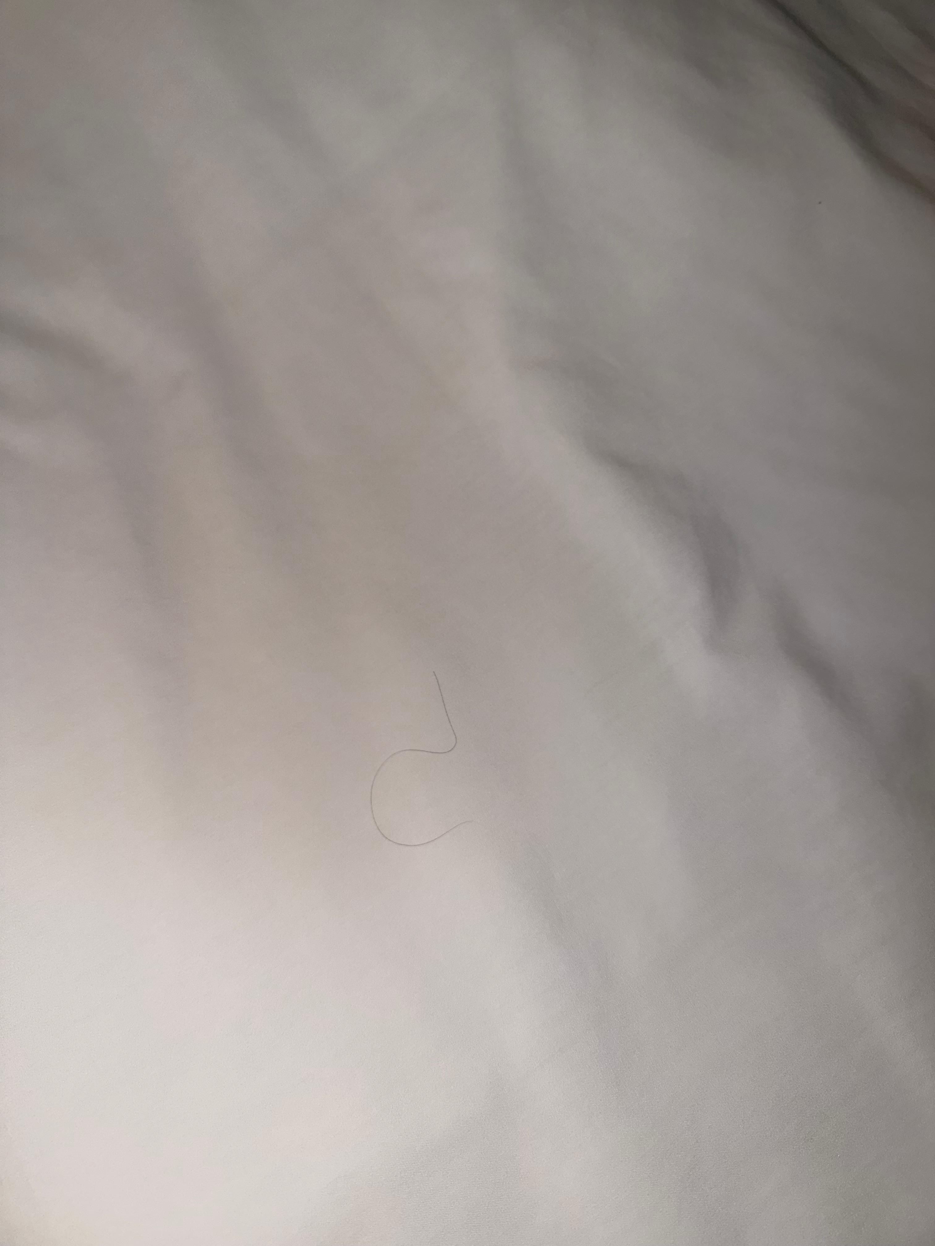 one of the ma t strands of hair we spotted on our bed 
