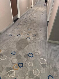 All carpets were like this in the hallway and the rooms I forgot to add the air conditioner was extremely loud woke up both mornings with a headache