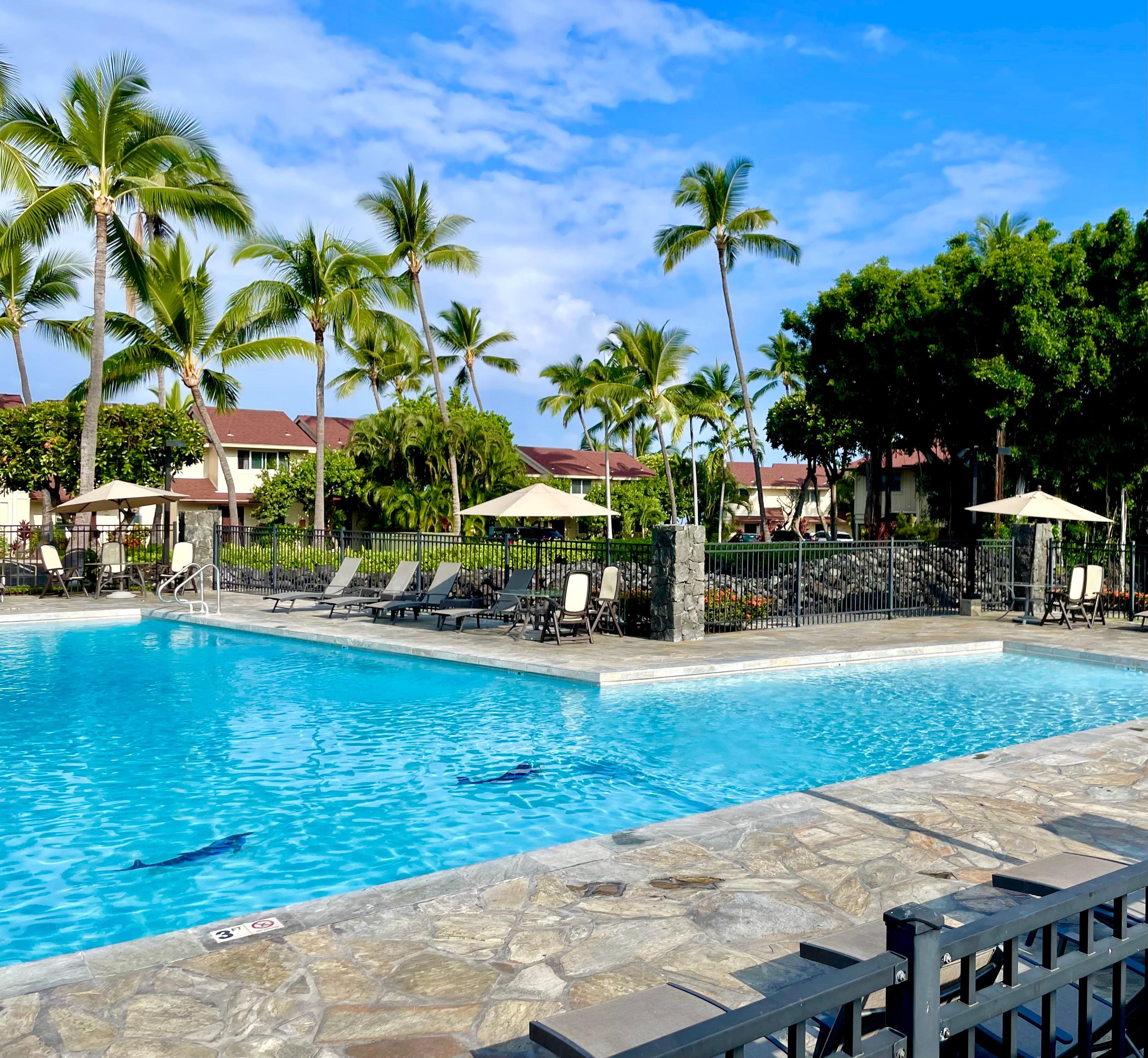 Huge pool to enjoy 