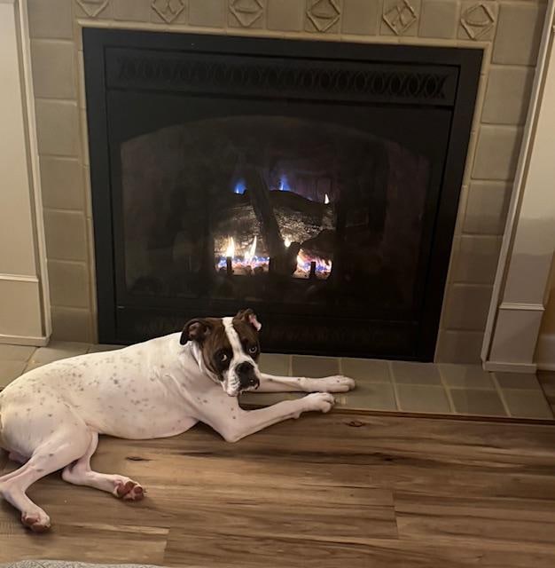 Relaxing by the fire. 🔥 