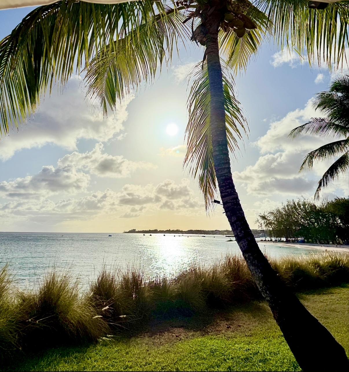 View from the cabana waiting for sunset