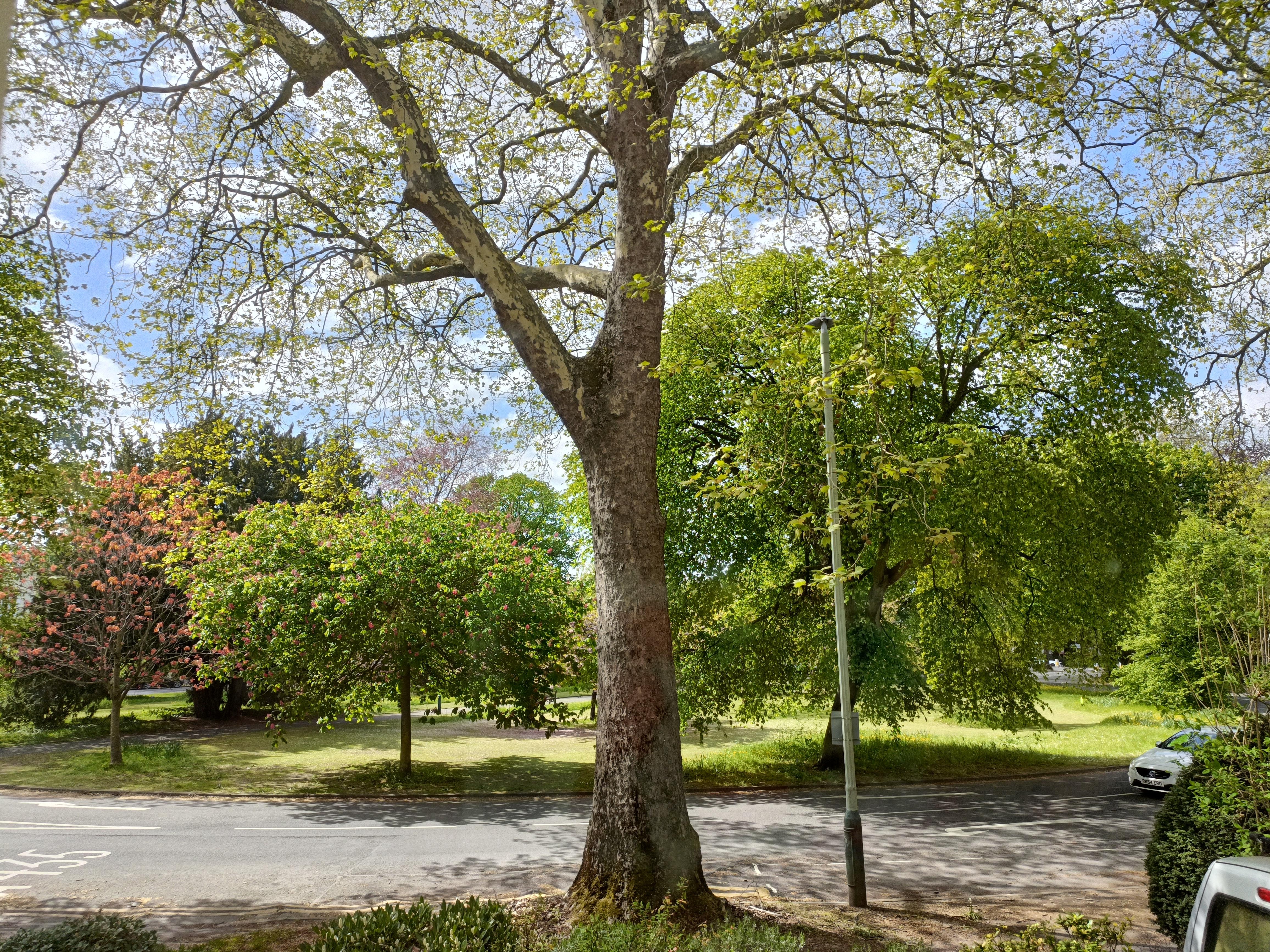 View to Pittville Circus