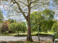 View to Pittville Circus