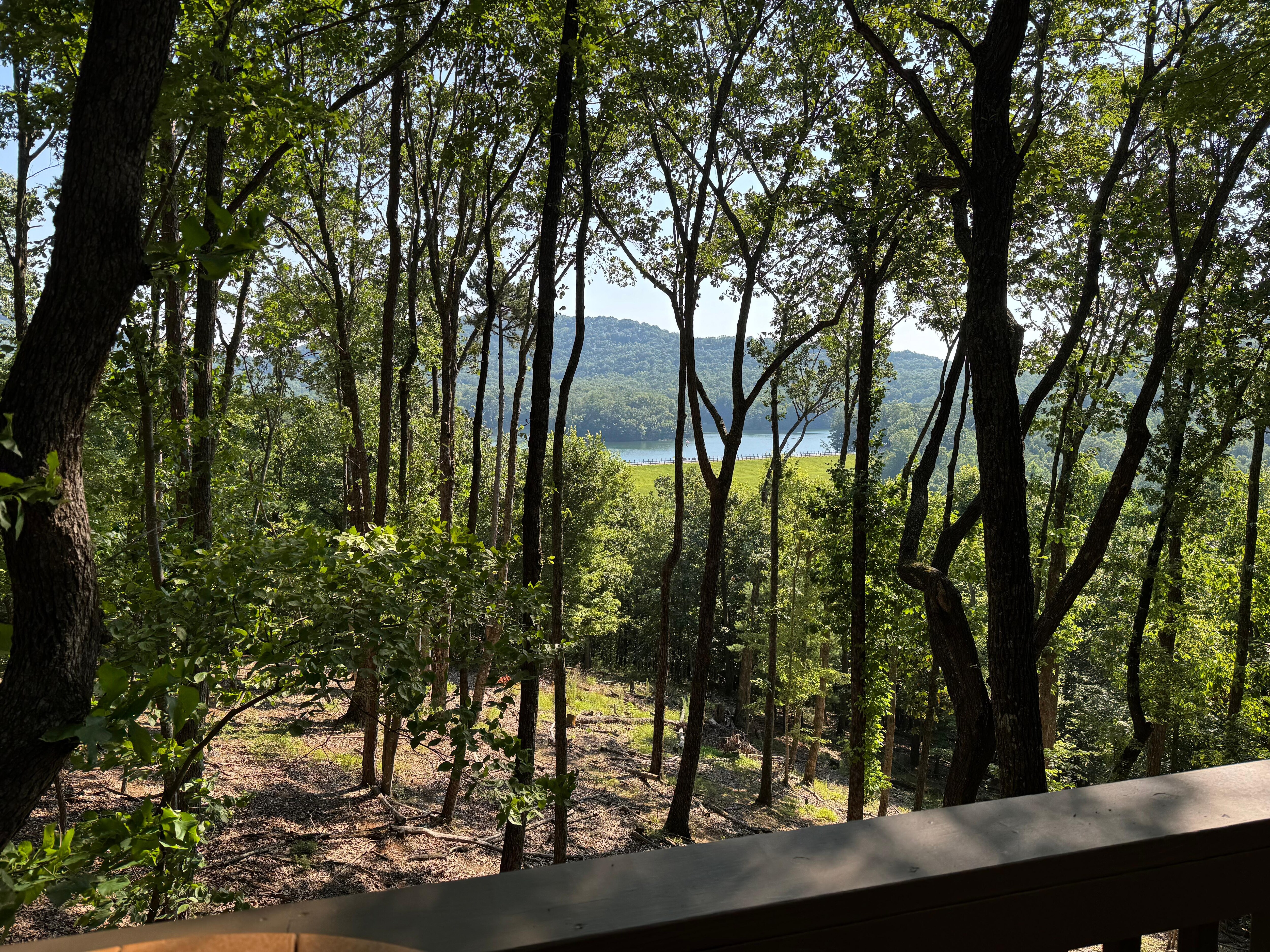 View from deck