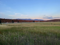 View from tipi