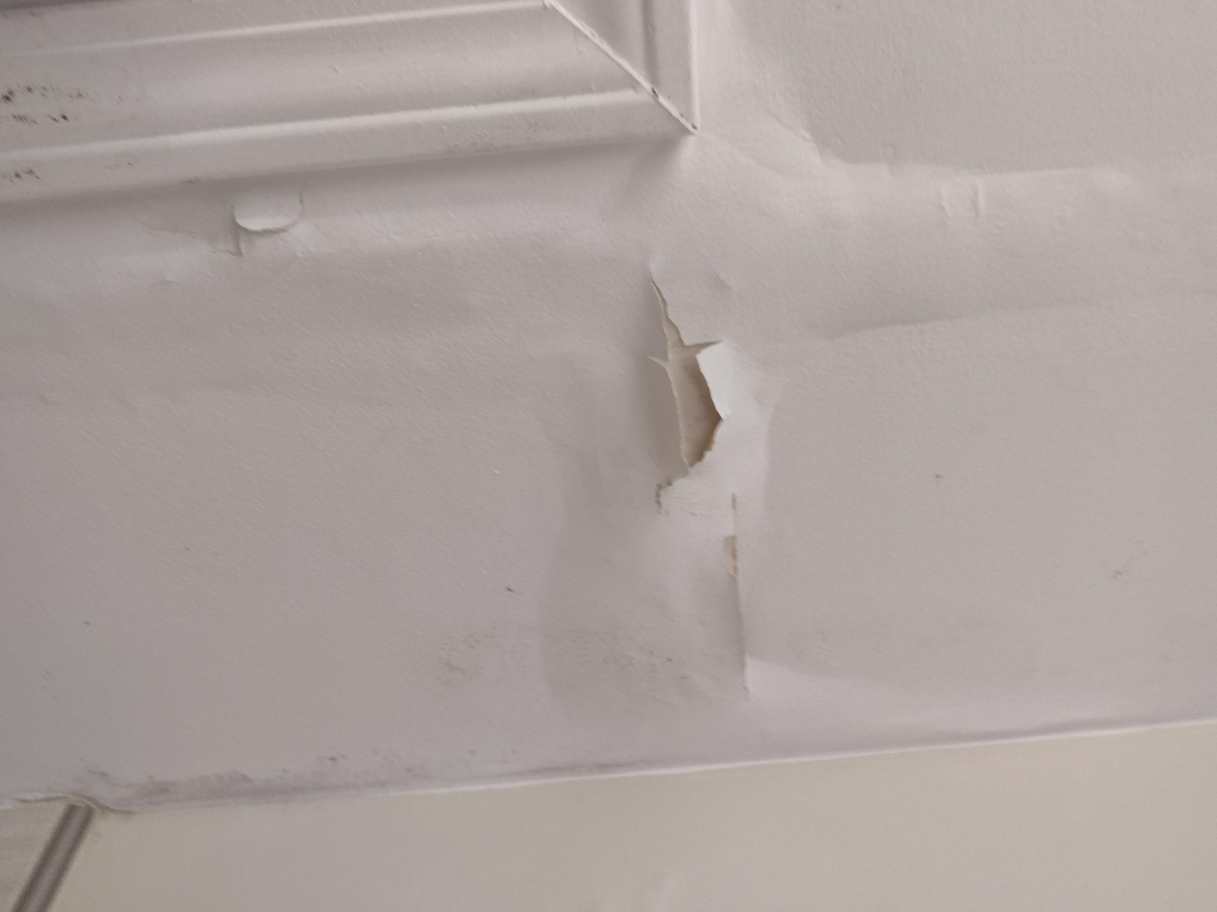 Bathroom ceiling 