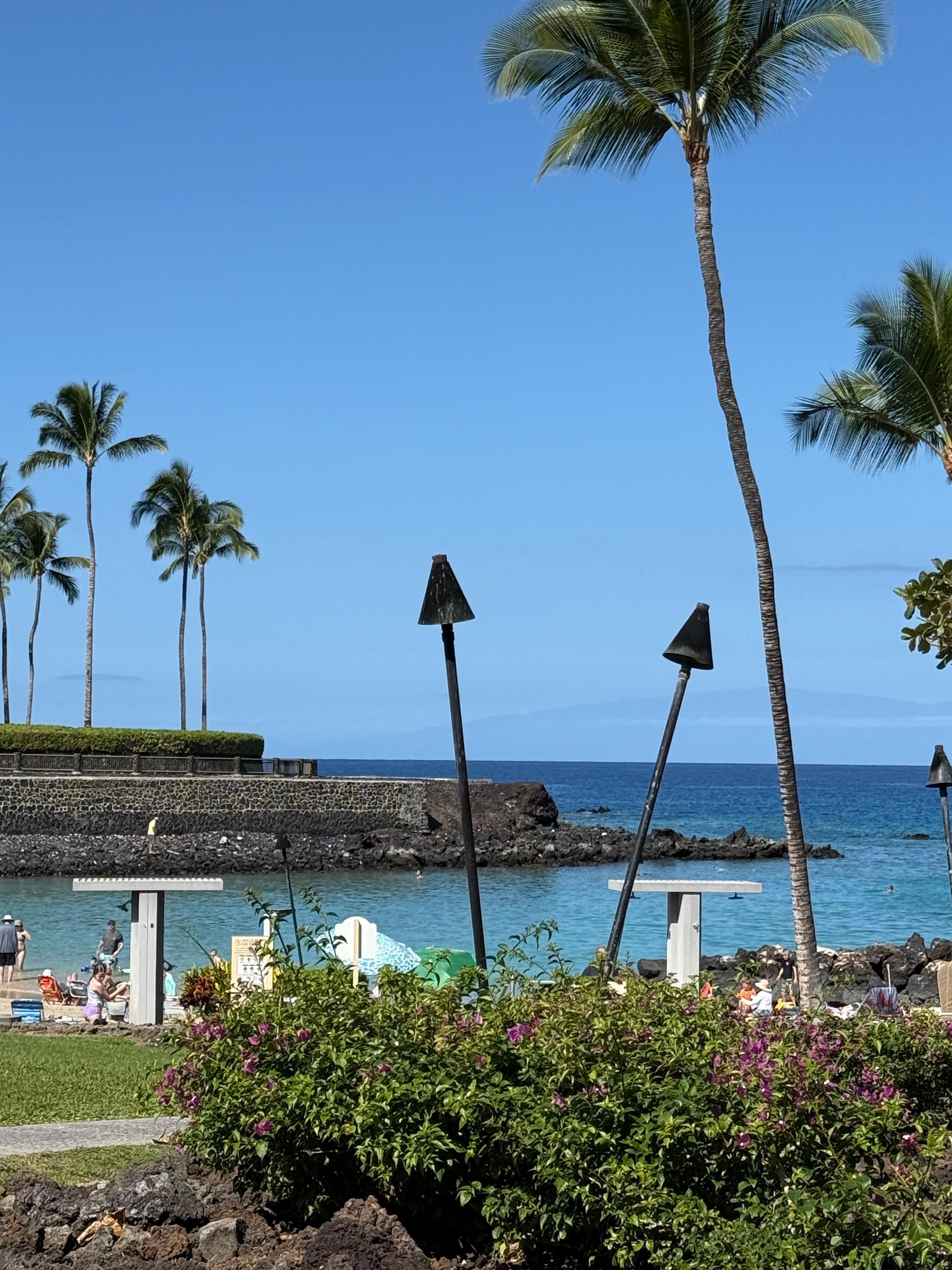  Ode from the Beach Club