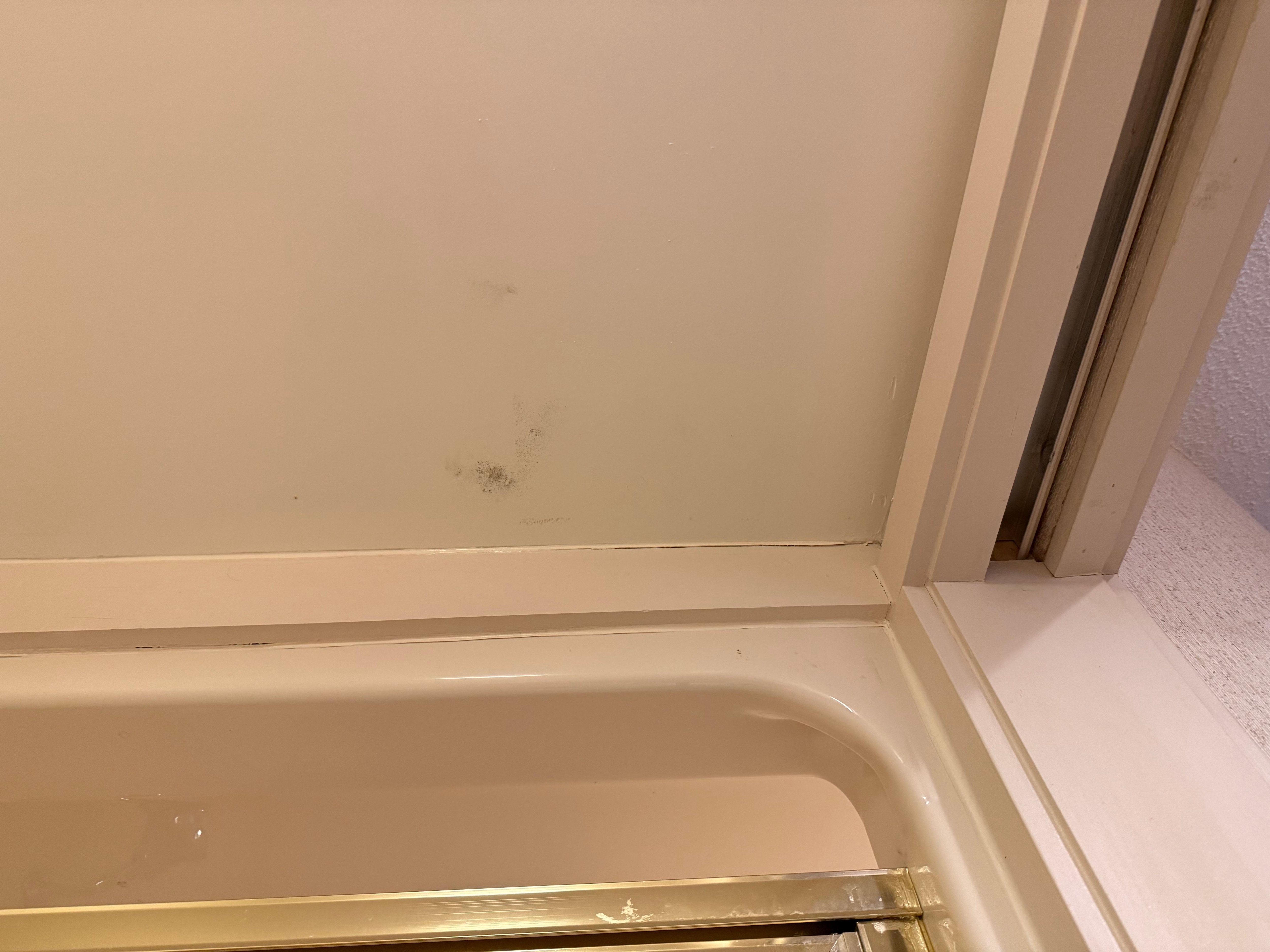 Black mold on the ceiling