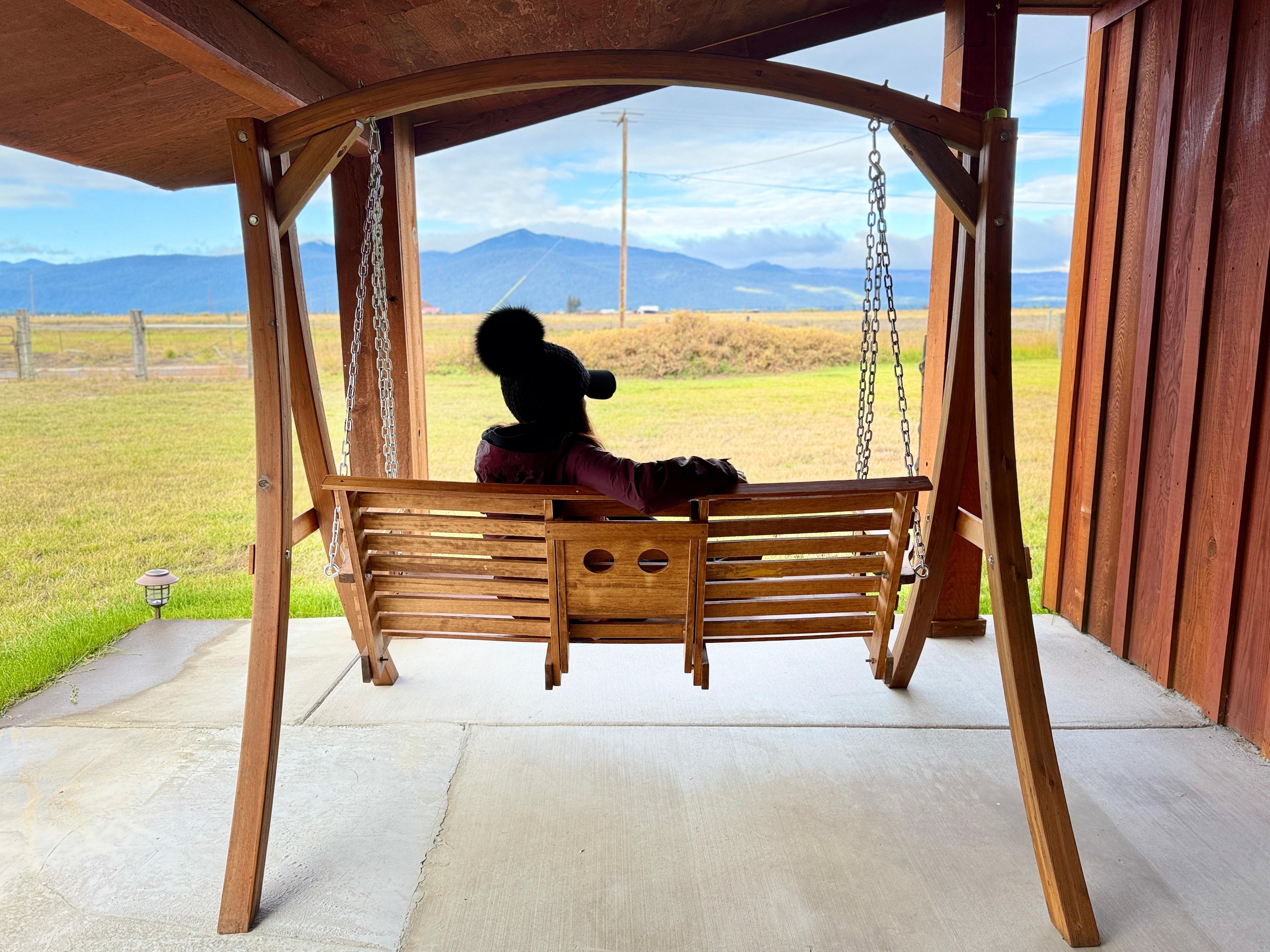 Swing that we loved and facing to cow field! 