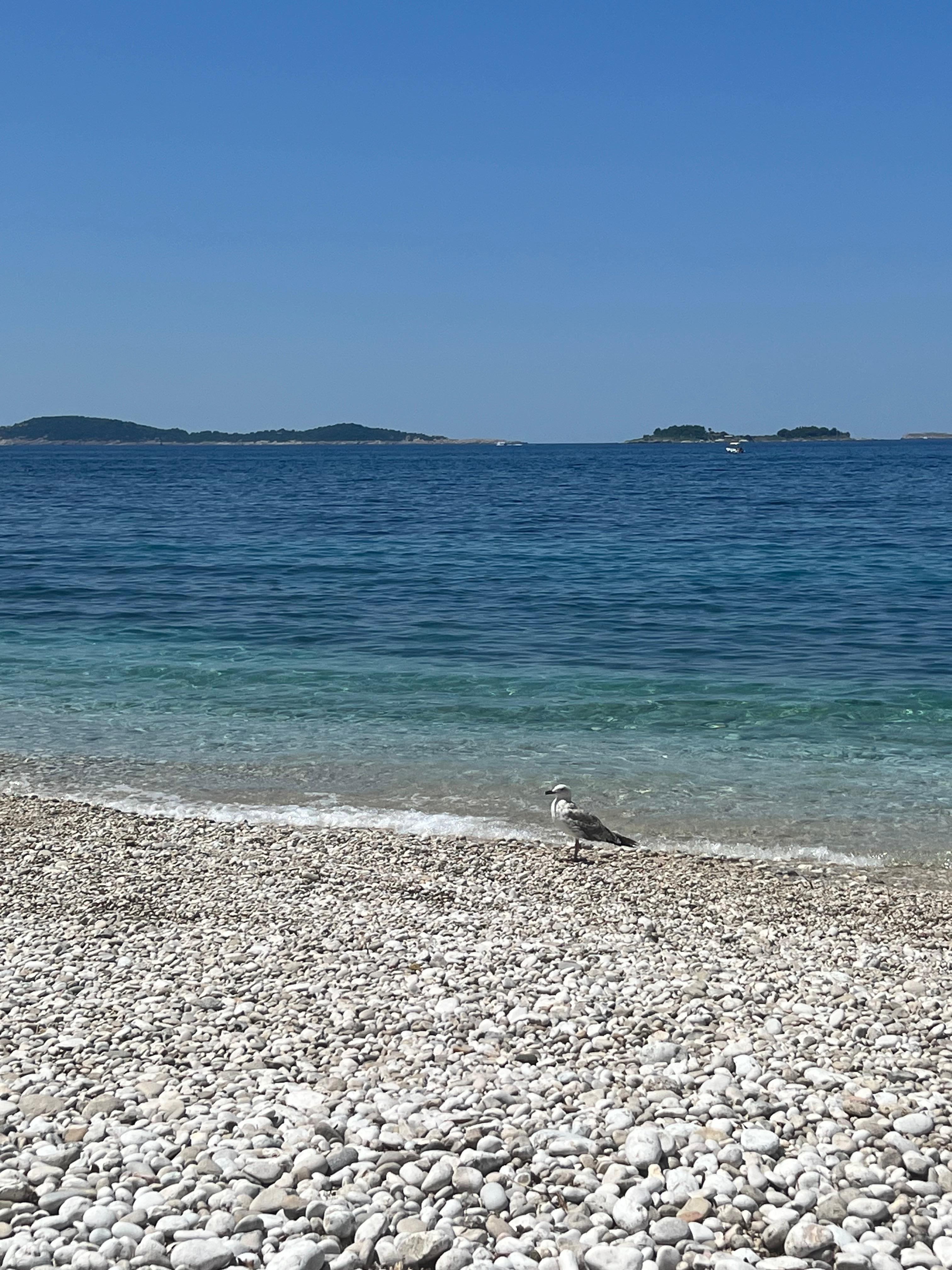 The beach down the hill!