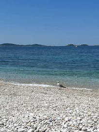The beach down the hill!