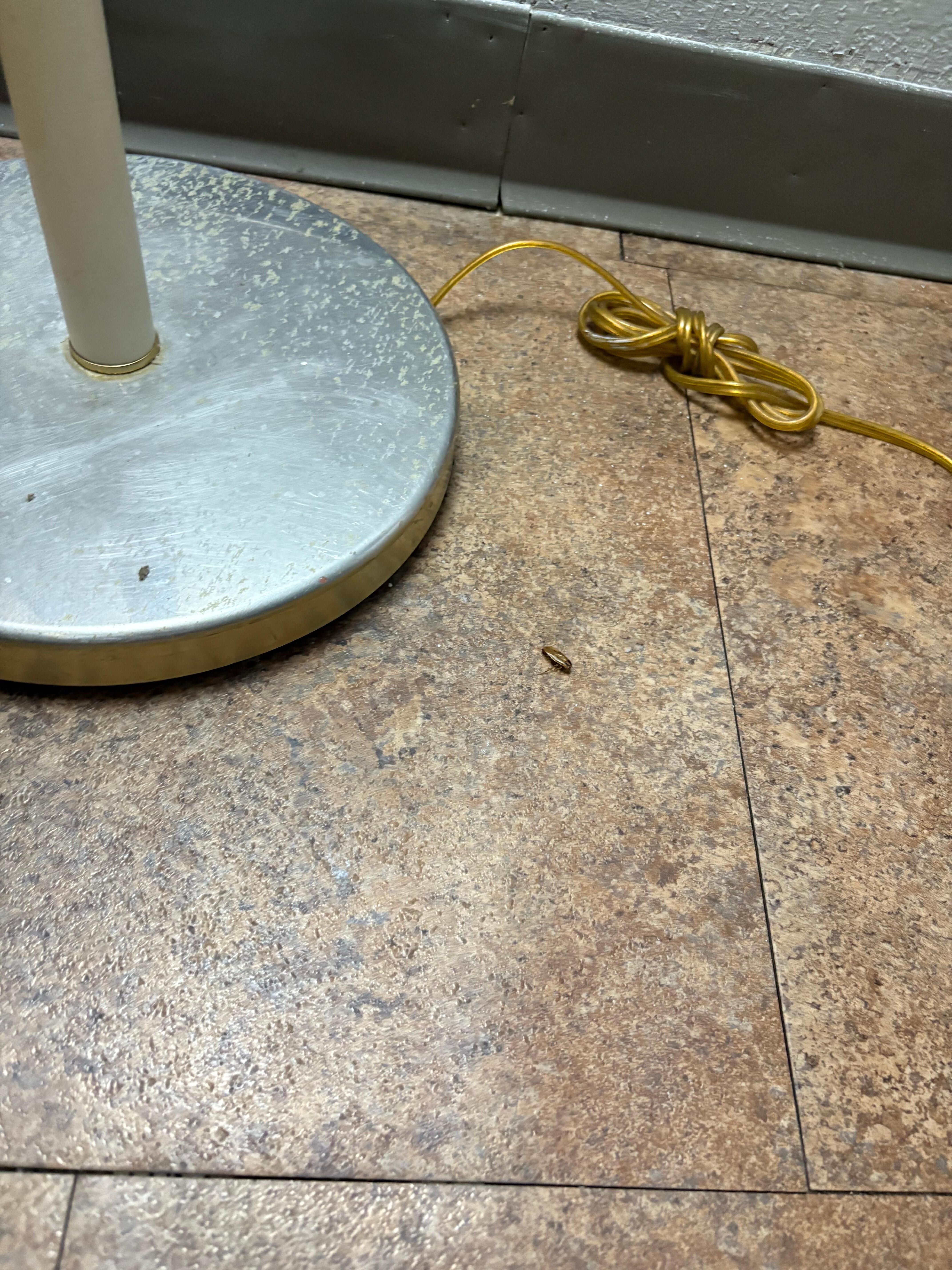 Dead roach decorations