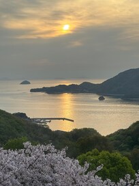 部屋からの夕日です。海面がメラメラしててザ、瀬戸内って感じ。
