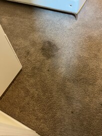Stains in the downstairs bedroom