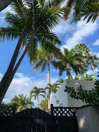 view from cottage patio