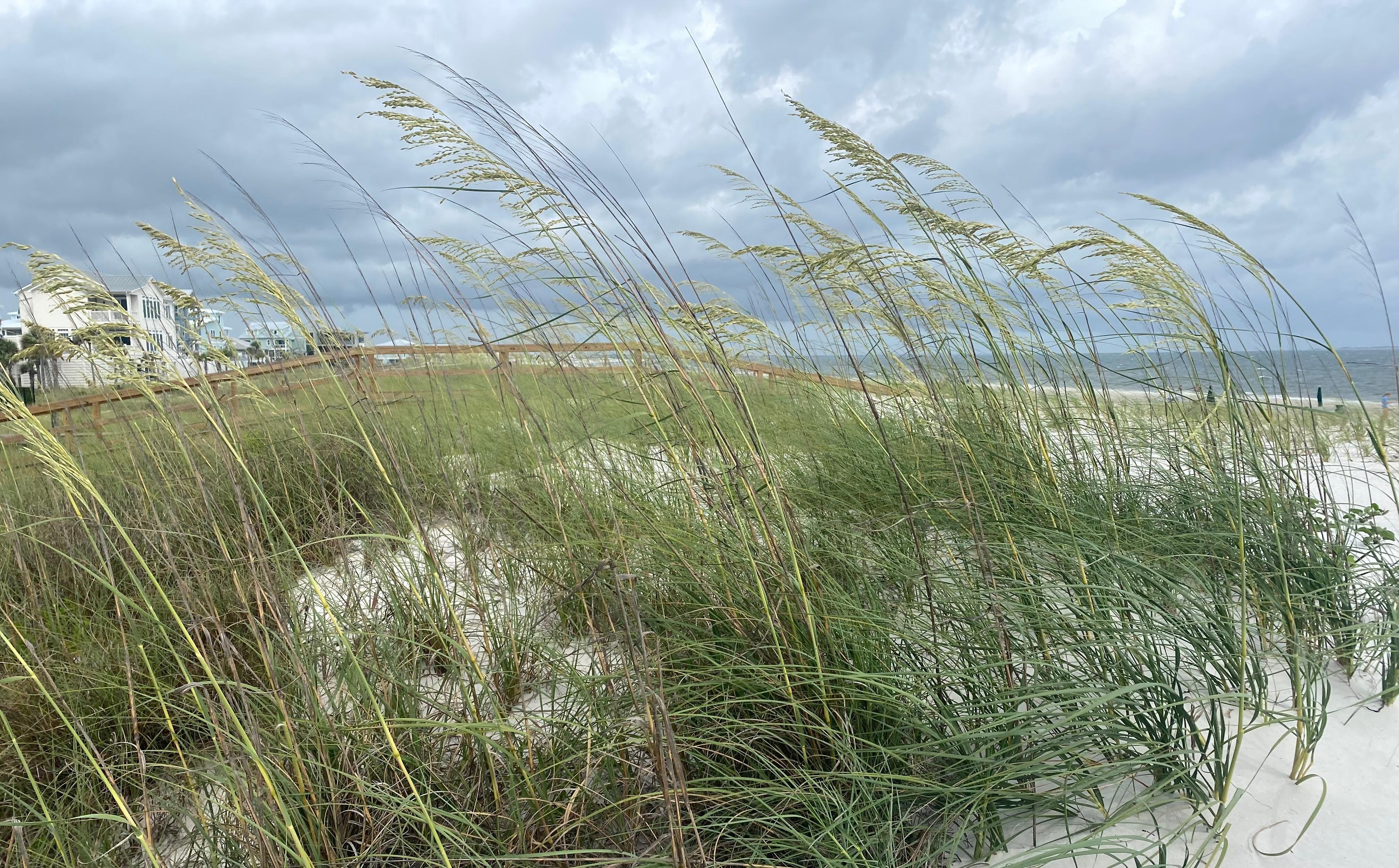 Mexico Beach-35th street